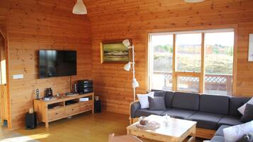 Smart TV, DVD player, books, music library