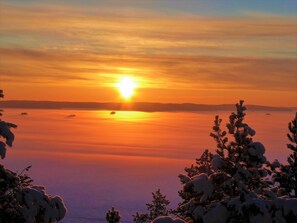 A sunset over a calm body of water with snow-covered trees in the foreground. - Cozy, 5 star log cabin directly on the lake. Water, forest, winter sports (Voipala)