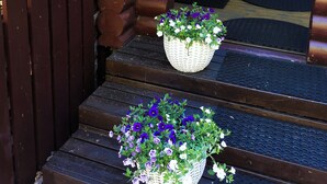 Entrada de uma cabana de madeira, com porta de madeira, degraus e dois canteiros suspensos com flores.