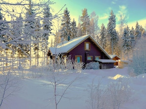 Lumipeitteisten puiden ympäröimä mökki.
