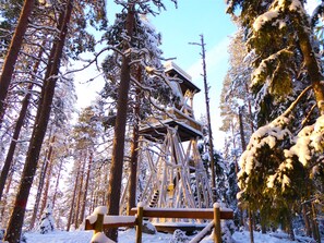 A wooden cabin surrounded by snow-covered trees in a forest. - Cozy, 5 star log cabin directly on the lake. Water, forest, winter sports (Voipala)