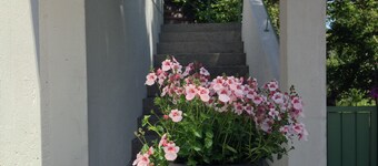 Apartment Mountaintop