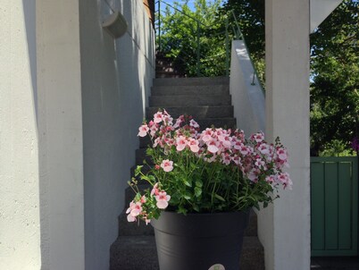 Apartment Mountaintop