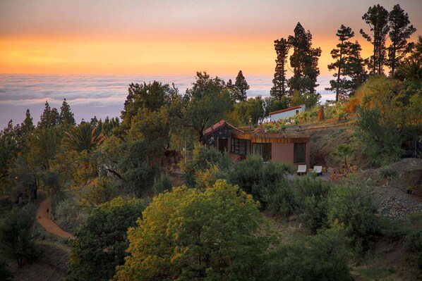 Un chalet isolé, entouré d’une forêt dense, avec vue sur une vallée.