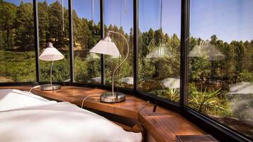 1 slaapkamer, een bureau, een strijkplank/strijkijzer, reisbedje