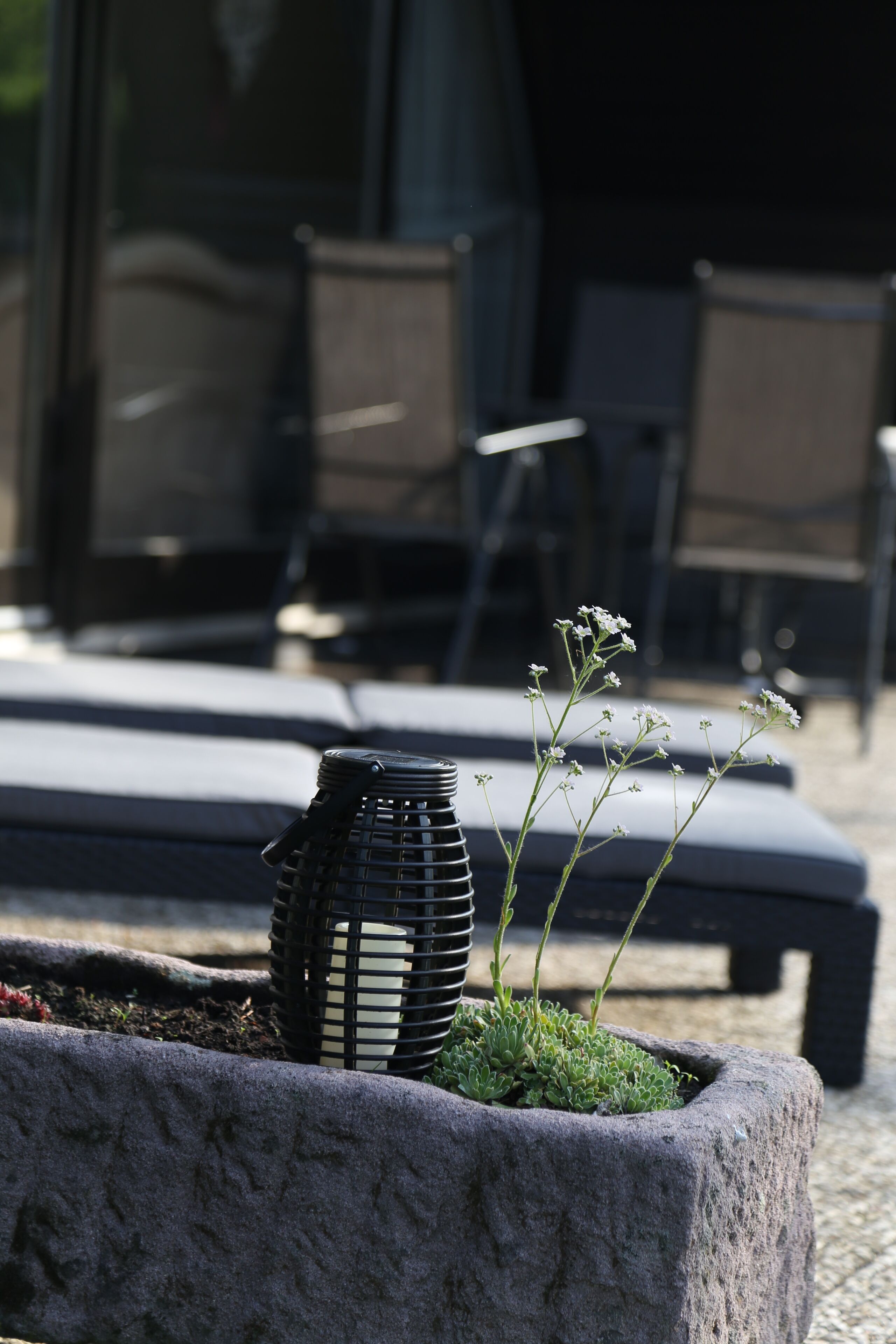 A stone planter with a decorative metal object and a plant with small white flowers.