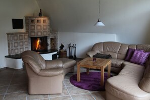 Télévision, cheminée, lecteur de DVD, table de tennis de table