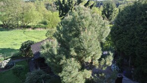 Un quartier résidentiel où se trouve une maison entourée d’une pelouse bien entretenue et d’arbres touffus.