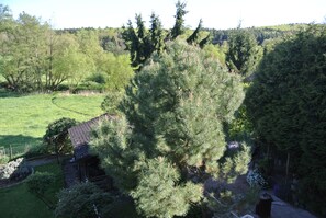 Property grounds - Apartment in a quiet location on the flowing water of the Theel (Tholey)