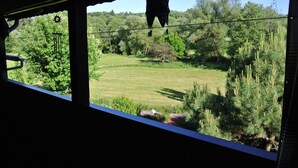 Une vue depuis une fenêtre donnant sur un champ verdoyant, avec des arbres et une décoration suspendue.