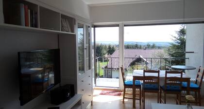 Modern comfortable apartment with balcony and beautiful views.