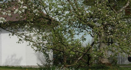 Kreative Behaglichkeit im renovierten Schulraum, 123 qm