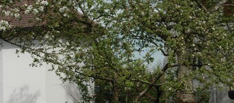 Kreative Behaglichkeit im renovierten Schulraum, 123 qm