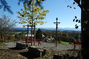 المنطقة المحيطة بالمنشأة