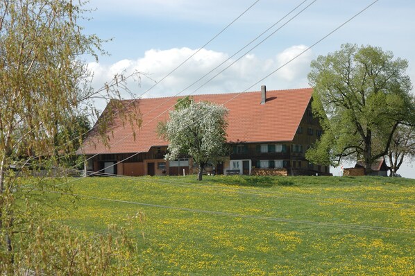 A large building with a red-tiled roof, surrounded by a green field with yellow flowers, and a tree in the foreground. - Creative comfort in the renovated classroom, 123 sqm (Argenbühl)
