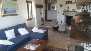 Smart TV, fireplace, books, music library