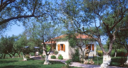 agradable joya, rodeado de olivares, cerca del mar.