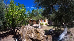 Exterior - Idyllic gem, surrounded by olive groves, close to the sea. (Agios Ilias Pyrgos)