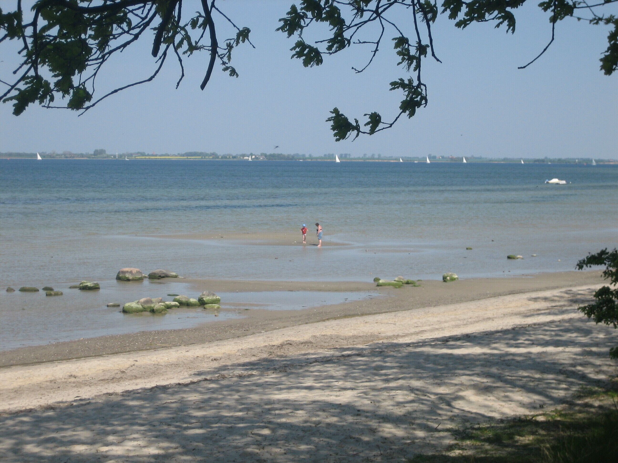 Plage à proximité