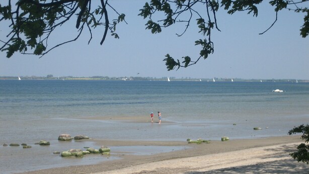 A beach with clear water, rocks, and a distant view of sailboats. - The child-friendly holiday house starfish ín Zierow at Wismar (Zierow)