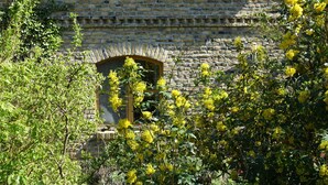 Un edificio de piedra con una ventana y una puerta, rodeado de follaje y flores amarillas.