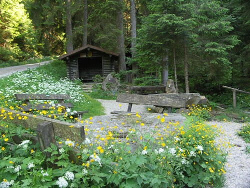 Time-out living in the middle of the Bavarian Forest in an absolutely secluded location