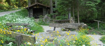 Time-out living in the middle of the Bavarian Forest in an absolutely secluded location