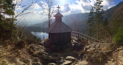 Time-out living in the middle of the Bavarian Forest in an absolutely secluded location