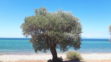 Playa en los alrededores