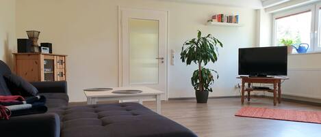 Televisor, reproductor de DVD, llibres i biblioteca musical