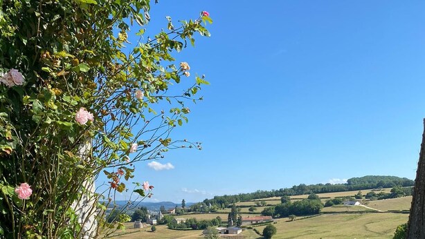Ein Holztisch für einen Grill mit Blick auf eine ländliche Landschaft.
