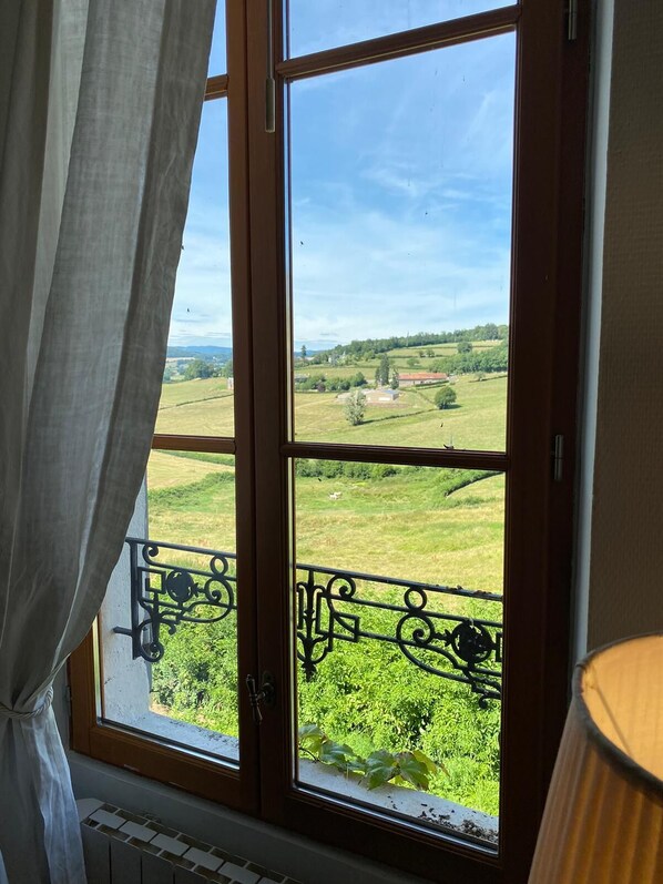 A window with a view of a green landscape, a balcony railing, and a curtain.