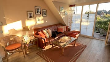 电视、DVD 播放器、书、音乐库