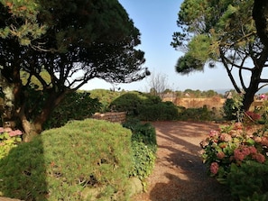 Terrain de l’hébergement 