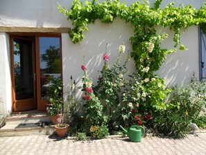 Un jardín con plantas en macetas, un regador verde y una puerta de madera.