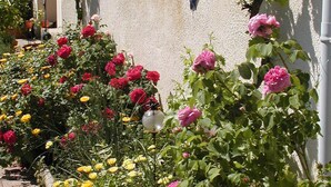 A garden with various flowers and a building with a window and a wall-mounted light.