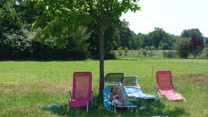 A grassy field with three beach chairs and a tree.