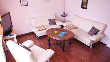 Smart TV, DVD player, books, video library