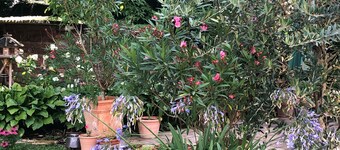 little gem in the countryside but in the town