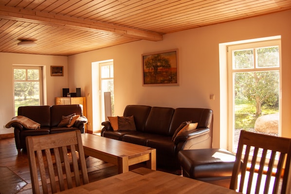 TV, fireplace, stereo