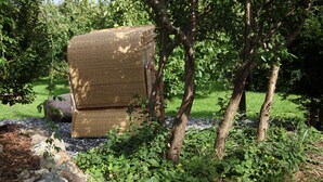 A wicker chair in a garden setting with trees and greenery. - A lot of space and rest between beach and nature (Sagard)