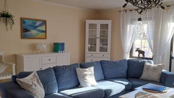 TV, fireplace, DVD player, books