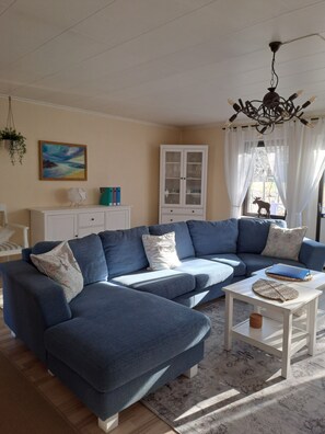 TV, fireplace, DVD player, books