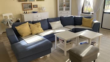 Fernseher, Kamin, DVD-Player, Bücher