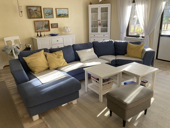 TV, fireplace, DVD player, books