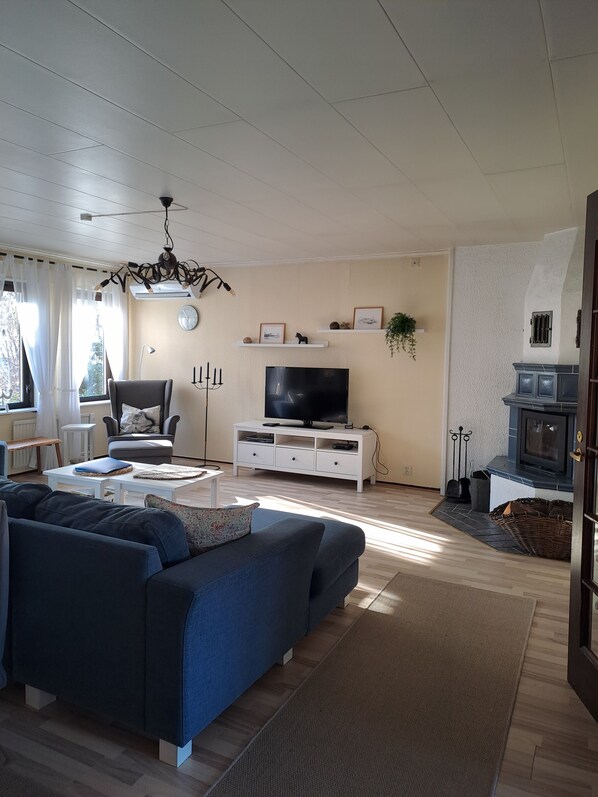 TV, fireplace, DVD player, books