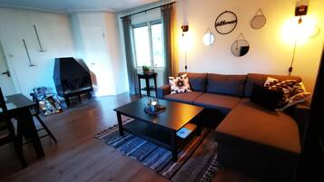 Televisio, takka, DVD-soitin, kirjoja
