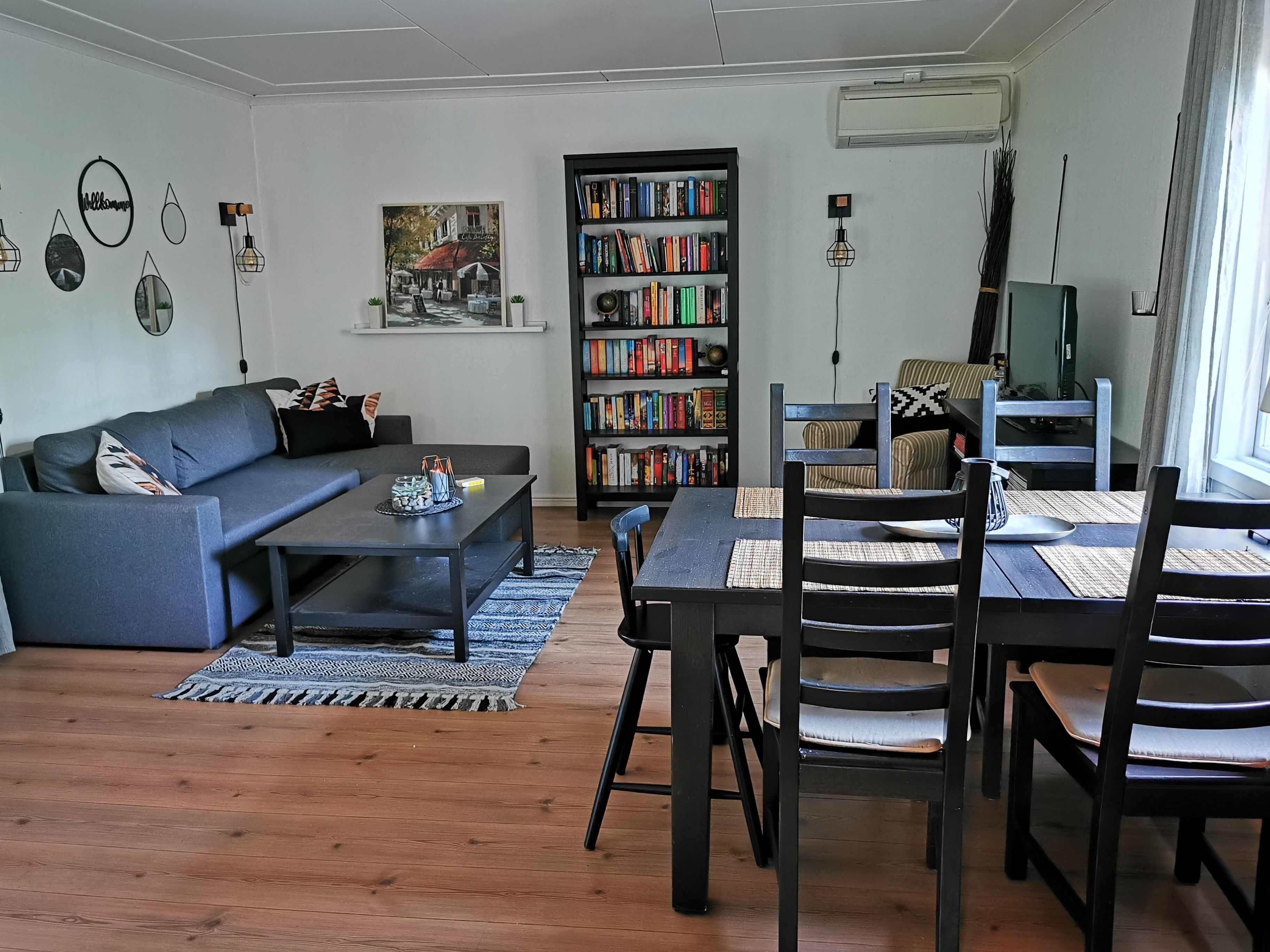 Tv, eldstad, dvd-spelare och böcker