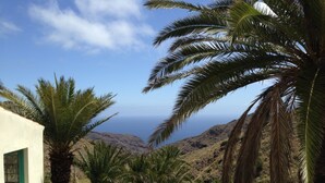 A coastal landscape with palm trees, a white building with a green window, and a view of the sea and hills in the background.