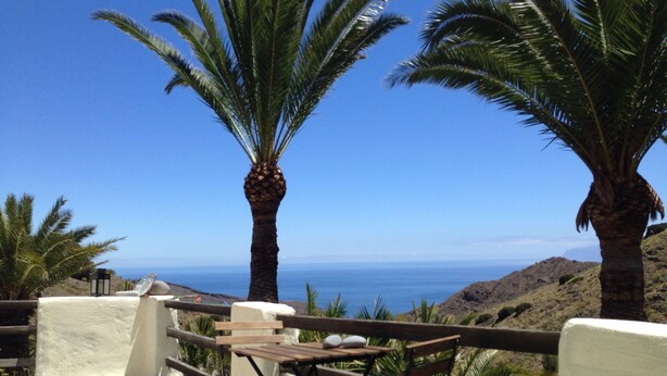A terrace with a table and chairs, overlooking a coastal landscape with palm trees and the sea.